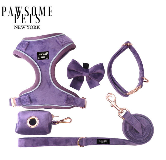 BUNDLE - PURPLE